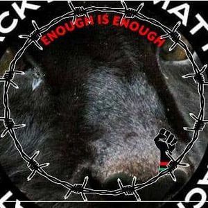 Meet your Posher, Rodney